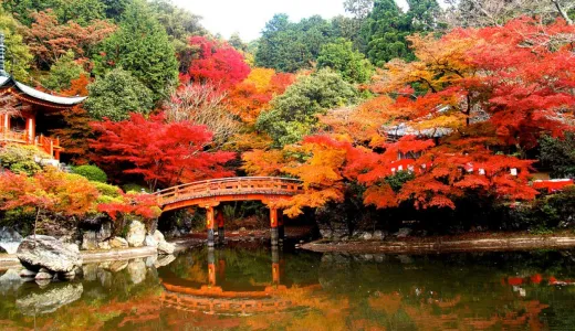 66th BP Fellowship event group photo