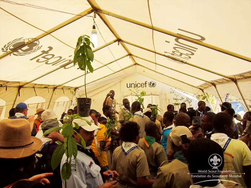 Receiving the fruit trees and splitting up in groups
