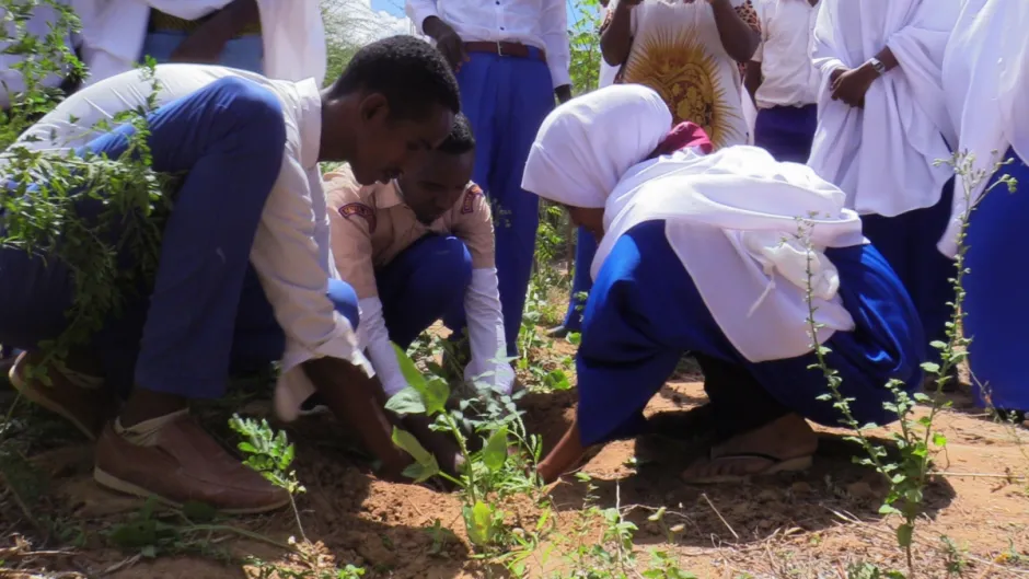 Scouting for Refugees