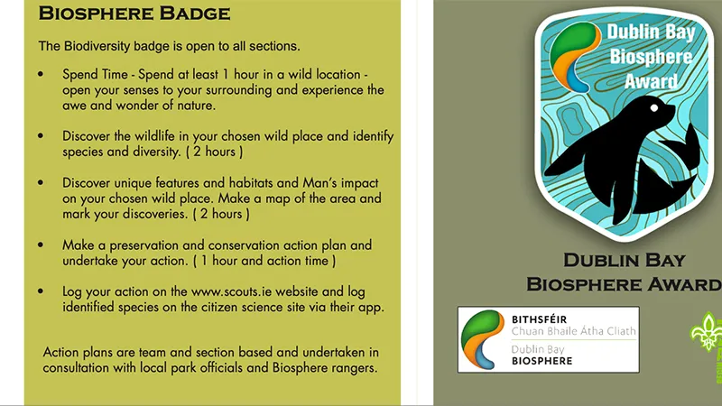 Dublin Bay Biosphere. Irish Scouts & YBPF Battle Buckthorn