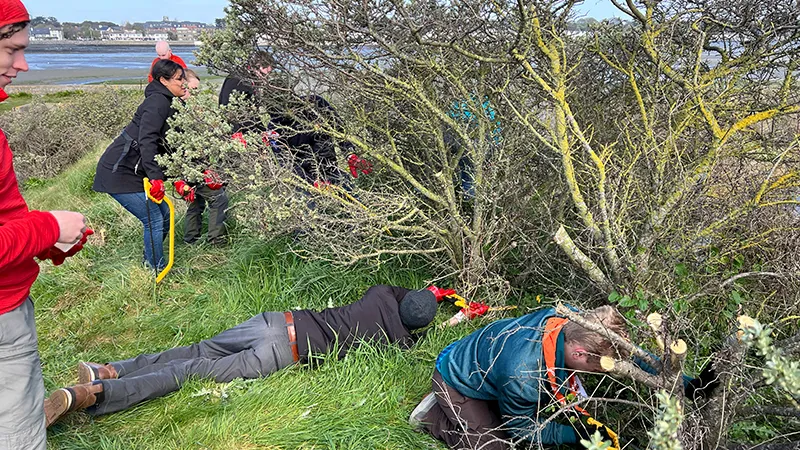 Dublin Bay Biosphere. Irish Scouts & YBPF Battle Buckthorn