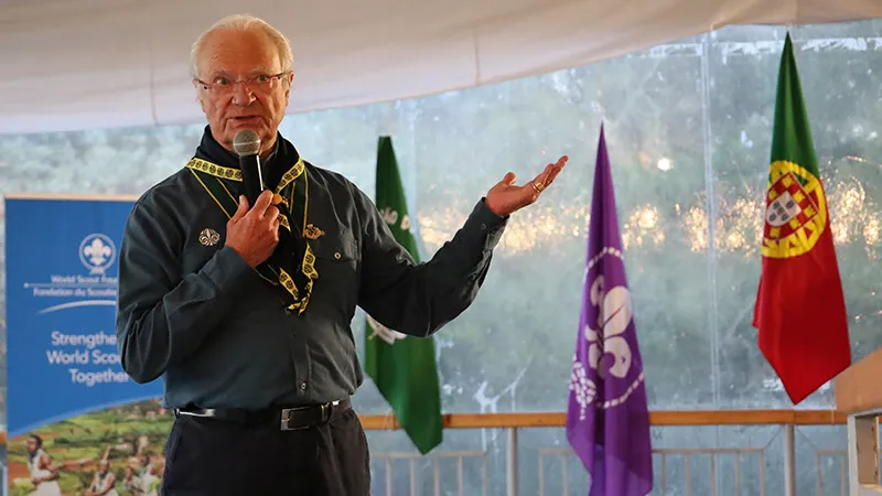 Dynamic Meetings of WSF Board & Committees