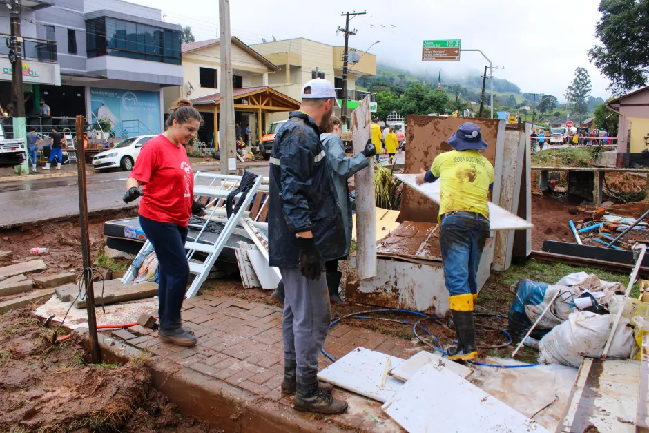 WSF Annual Report 2024