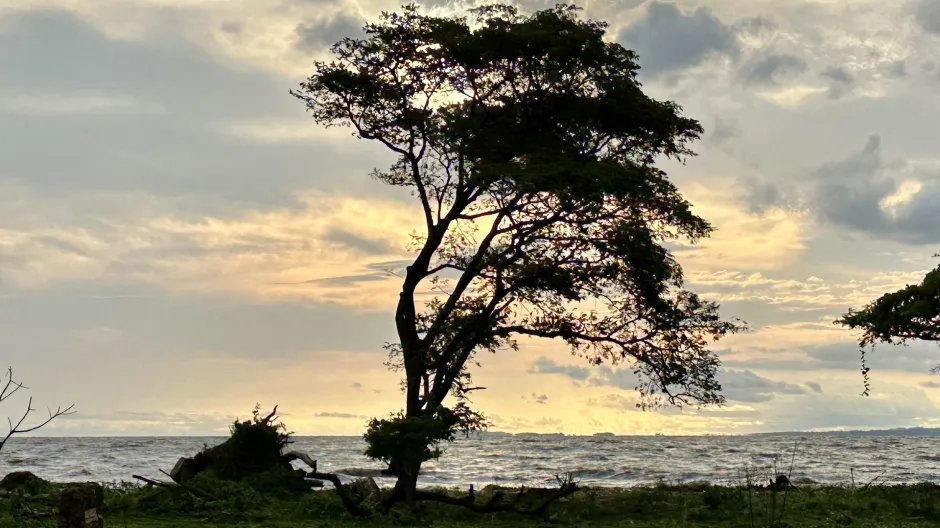 On the shores of Lake Victoria